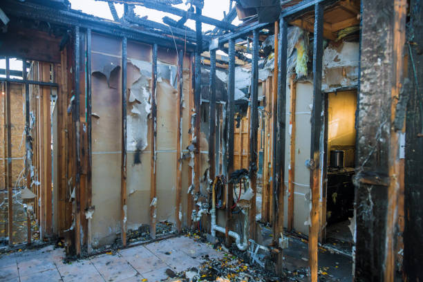 Professional Fire Damage Repair technician working in Glenwood, MN